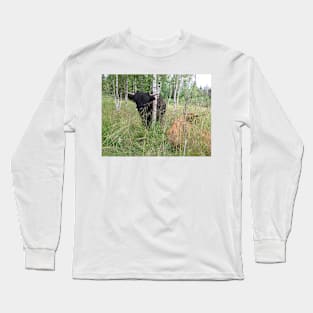 Scottish Highland Cattle Bulls 1468 Long Sleeve T-Shirt